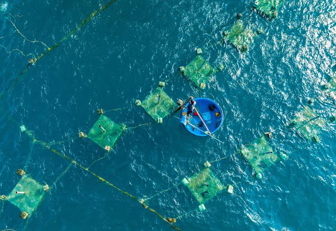Aquaculture & Fisheries