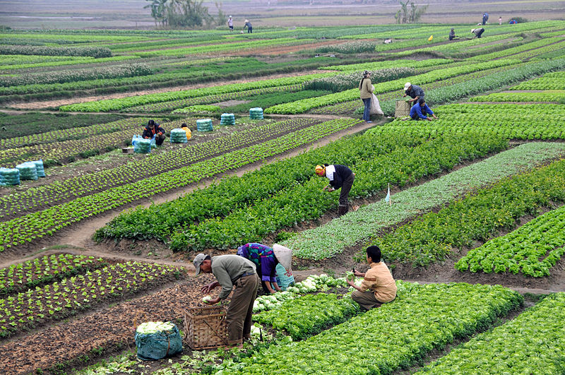 Sustainable Agriculture