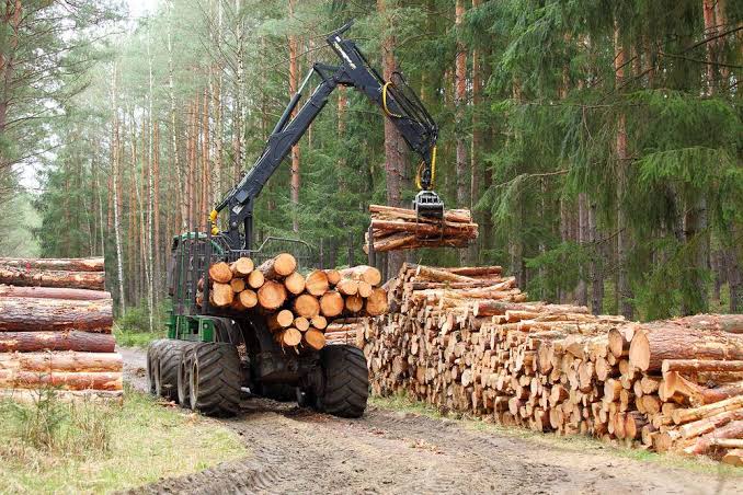 Forestry & Agroforestry