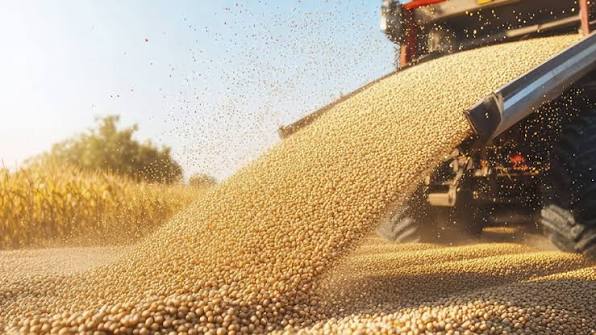 Agricultural Trade & Markets